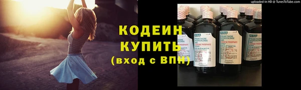 стаф Богданович