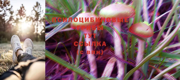 таблы Коряжма