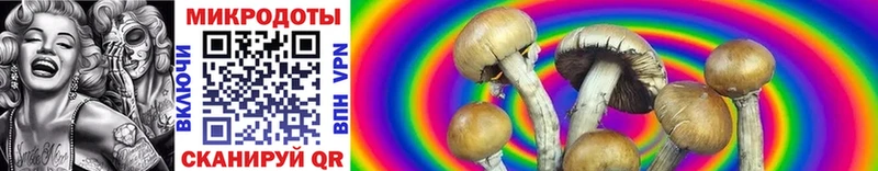 мега зеркало  Батайск  Псилоцибиновые грибы Psilocybine cubensis 