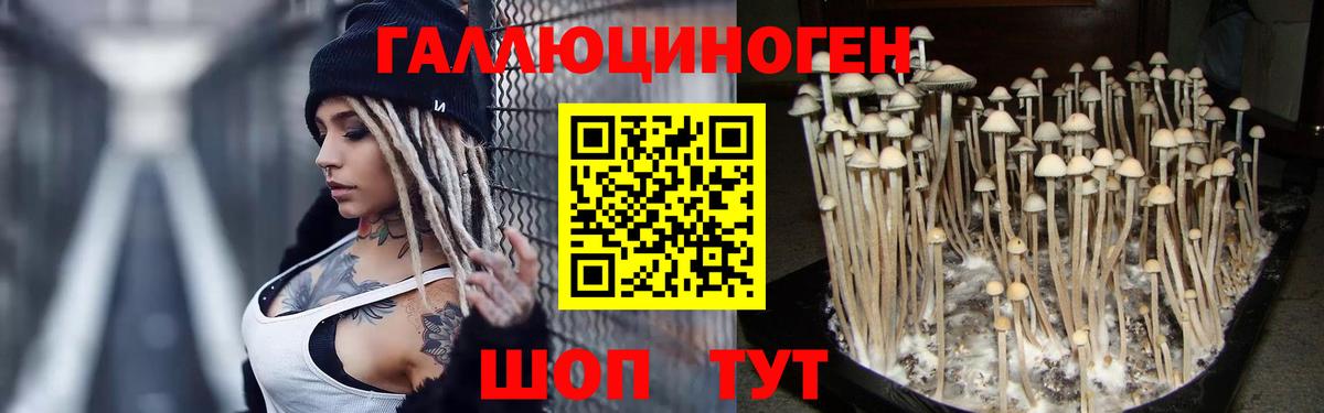 Батайск  Псилоцибиновые грибы прущие грибы  Вход с VPN 